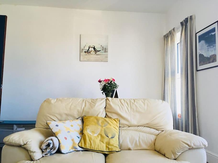 Hillcrest Cottage, Comfy Flat, Trendy Uplands Area Свонсі Екстер'єр фото